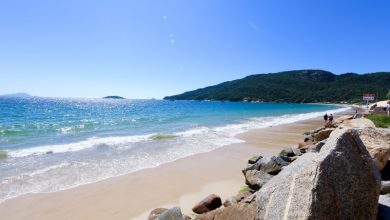 Destinos nacionais são os mais visados por turistas no pós pandemia