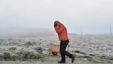 114060954 tv062986281