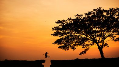 O que você deseja e o que você realiza?