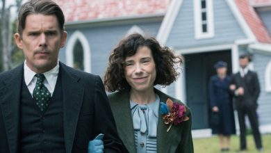 Ethan Hawke e Sally Hawkins