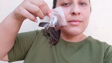 Ana Paula Gomes Sementes China