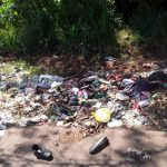 dengue mata folha de paraguacu 10