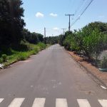 dengue mata folha de paraguacu 2