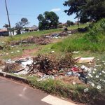 dengue mata folha de paraguacu 3