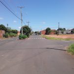 dengue mata folha de paraguacu 4