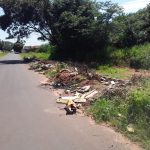 dengue mata folha de paraguacu 5
