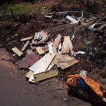 dengue mata folha de paraguacu 6
