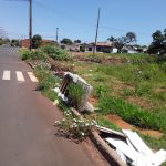 dengue mata folha de paraguacu 7