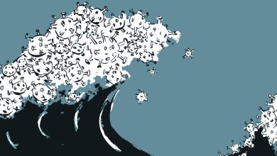 corona virus segunda onda