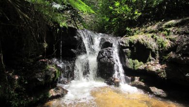 cachoeira em Paraguacu