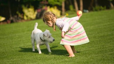 crianca brincando com cachorro