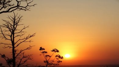 tempo seco calor monica alves 730x425 1