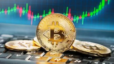 Aumenta interesse de investidores por criptomoedas.