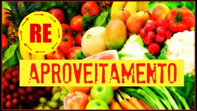 Curso de Aproveitamento de Alimentos está com inscrições abertas