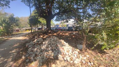 Fonte Luminosa Uma Novela Sem Fim 1