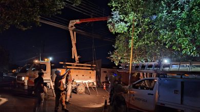 fornecimento de energia eletrica foi interrompido devido a uma ocorrencia envolvendo linha