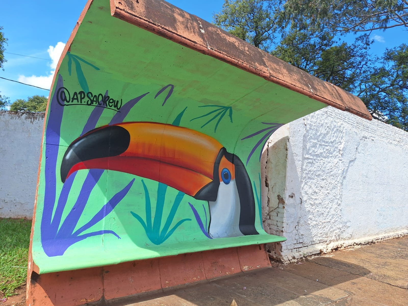 Arte Urbana em Paraguaçu Paulista