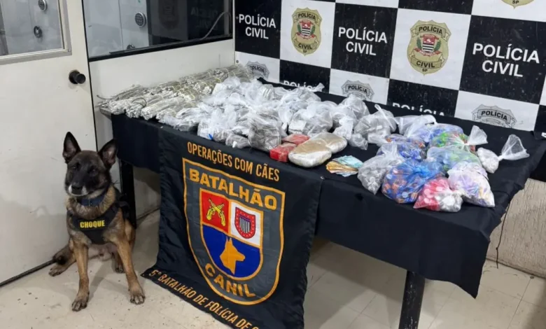 Cães policiais são verdadeiros heróis da segurança pública, realizando mais de 200 operações em apenas 6 meses para detectar drogas e explosivos na capital, garantindo a segurança dos cidadãos e prevenindo a criminalidade.