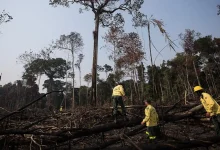 Descoberta surpreendente: espécies invasoras podem carregar bactérias resistentes, potencializando crises de saúde pública, alertando para a necessidade de medidas de prevenção e controle.