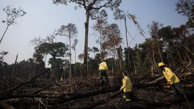 Descoberta surpreendente: espécies invasoras podem carregar bactérias resistentes, potencializando crises de saúde pública, alertando para a necessidade de medidas de prevenção e controle.
