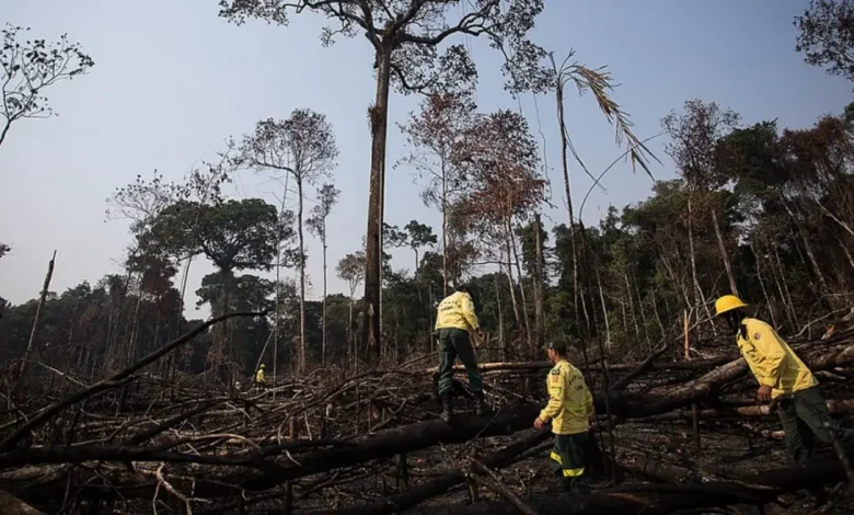 Descoberta surpreendente: espécies invasoras podem carregar bactérias resistentes, potencializando crises de saúde pública, alertando para a necessidade de medidas de prevenção e controle.
