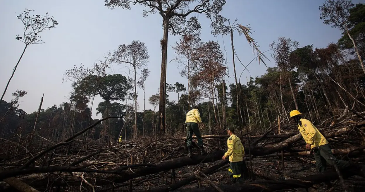 Descoberta surpreendente: espécies invasoras podem carregar bactérias resistentes, potencializando crises de saúde pública, alertando para a necessidade de medidas de prevenção e controle.