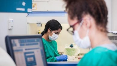 Cientistas descobriram que a microalga Monoraphidium contortum remove resquícios de antibióticos da água e produz biomassa com valor comercial, prometendo solução sustentável para poluição química em ecossistemas aquáticos.