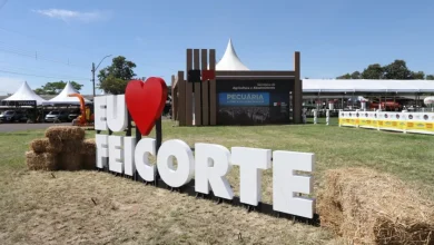Regulamentação do Fundo Indenizatório para Sanidade Pecuária é um passo importante para garantir segurança sanitária e econômica da pecuária paulista, prevenindo doenças e promovendo cooperação entre instituições públicas e privadas.