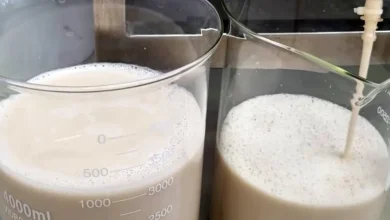 Inovação tecnológica revoluciona indústria laticínia com produção de proteínas do leite sem vacas. Fapesp e Future Cow desenvolvem tecnologia que promete mudar o jogo, apresentada na feira internacional VivaTech em Paris.