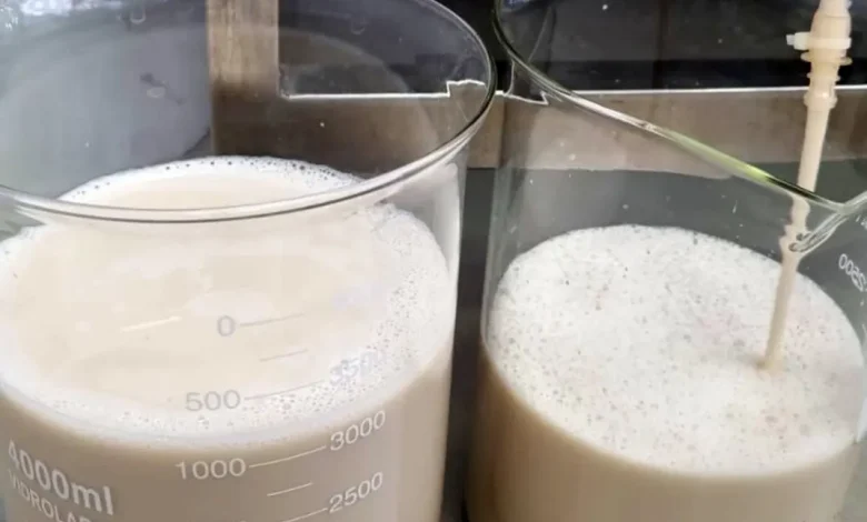 Inovação tecnológica revoluciona indústria laticínia com produção de proteínas do leite sem vacas. Fapesp e Future Cow desenvolvem tecnologia que promete mudar o jogo, apresentada na feira internacional VivaTech em Paris.