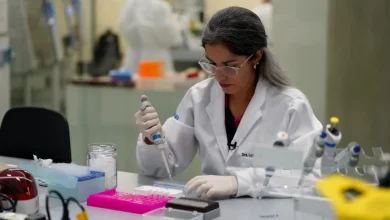 Desenvolvedores de vacina terapêutica para HPV recebem apoio do Governo de São Paulo e PIPE-FAPESP; molécula estimula sistema imunológico para combater câncer causado pelo vírus, ajudando a prevenir progressão e reduzir mortalidade.