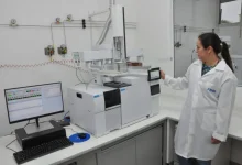 A pesquisa do Governo de São Paulo revoluciona a economia circular no estado, identificando oportunidades e desafios para implementar práticas sustentáveis em setores de alimentos e bebidas.