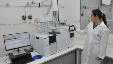 A pesquisa do Governo de São Paulo revoluciona a economia circular no estado, identificando oportunidades e desafios para implementar práticas sustentáveis em setores de alimentos e bebidas.