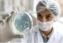 Fapesp e Universidade de Exeter lançam centro de pesquisa para desenvolver soluções contra doenças endêmicas na América Latina, como leishmaniose, Hanseníase e histoplasmose, com investimento de 1,75 milhões de libras em cinco anos.