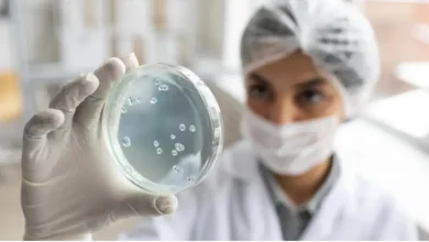 Fapesp e Universidade de Exeter lançam centro de pesquisa para desenvolver soluções contra doenças endêmicas na América Latina, como leishmaniose, Hanseníase e histoplasmose, com investimento de 1,75 milhões de libras em cinco anos.