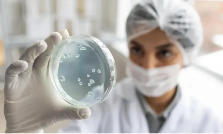 Fapesp e Universidade de Exeter lançam centro de pesquisa para desenvolver soluções contra doenças endêmicas na América Latina, como leishmaniose, Hanseníase e histoplasmose, com investimento de 1,75 milhões de libras em cinco anos.