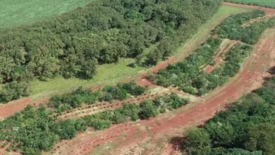 Jovens estudantes do Centro Paula Souza desenvolvem soluções inovadoras para preservar a água e combater a seca e a desertificação, demonstrando o poder da Educação Profissional e Tecnológica em mitigar os efeitos desses problemas.
