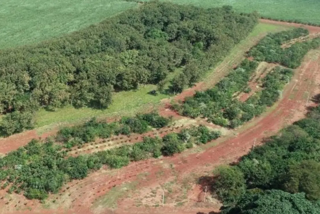 Jovens estudantes do Centro Paula Souza desenvolvem soluções inovadoras para preservar a água e combater a seca e a desertificação, demonstrando o poder da Educação Profissional e Tecnológica em mitigar os efeitos desses problemas.