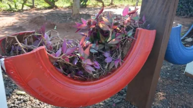 Grupos de detentos transformam pneus e madeira em peças artesanais, promovendo reciclagem, sustentabilidade e reduzindo impacto ambiental em ação inspiradora.