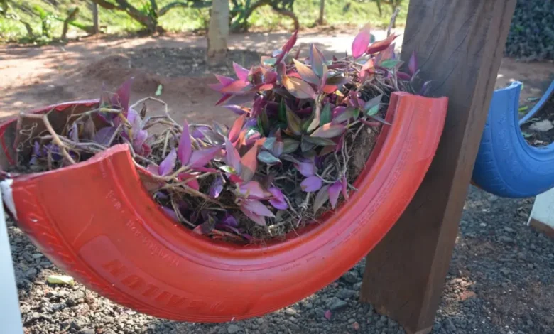 Grupos de detentos transformam pneus e madeira em peças artesanais, promovendo reciclagem, sustentabilidade e reduzindo impacto ambiental em ação inspiradora.