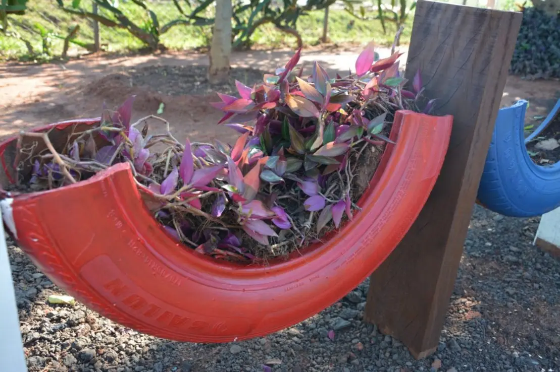 Grupos de detentos transformam pneus e madeira em peças artesanais, promovendo reciclagem, sustentabilidade e reduzindo impacto ambiental em ação inspiradora.