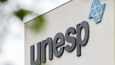 A Universidade Estadual Paulista (Unesp) é reconhecida como a melhor do mundo em apoio ao desenvolvimento sustentável, destacando-se por projetos e programas que envolvem pesquisa, extensão e inovação, construindo infraestruturas resilientes e formando profissionais qualificados.