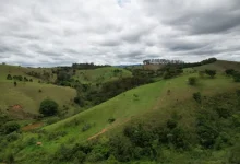 Floresta tropical da Mata Atlântica, patrimônio natural de São Paulo, é celebrada em concurso fotográfico. Premiarão os 10 melhores trabalhos com fotos exclusivas da floresta, com prêmio de R$ 30 mil. Inscreva-se até o próximo domingo com fotos originais da Mata Atlântica.