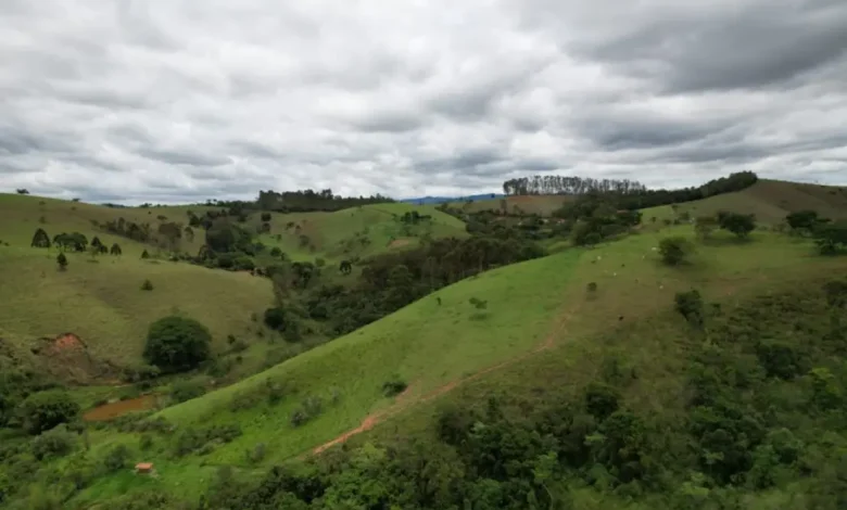 Floresta tropical da Mata Atlântica, patrimônio natural de São Paulo, é celebrada em concurso fotográfico. Premiarão os 10 melhores trabalhos com fotos exclusivas da floresta, com prêmio de R$ 30 mil. Inscreva-se até o próximo domingo com fotos originais da Mata Atlântica.