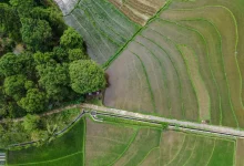 A Secretaria de Agricultura do Estado de São Paulo revolucionou a compensação ambiental com a integração do Cadastro Ambiental Rural, melhorando a gestão de ativos ambientais, tornando-a mais eficiente e transparente, e fornecendo informações precisas para tomada de decisões.