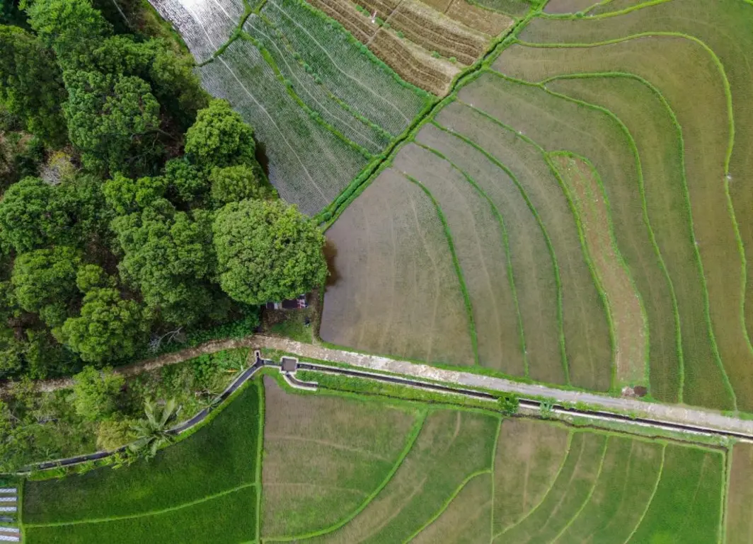 A Secretaria de Agricultura do Estado de São Paulo revolucionou a compensação ambiental com a integração do Cadastro Ambiental Rural, melhorando a gestão de ativos ambientais, tornando-a mais eficiente e transparente, e fornecendo informações precisas para tomada de decisões.