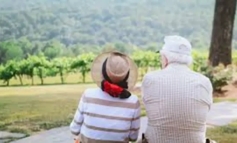 Conscientize-se sobre a violência contra as pessoas idosas e junte-se à campanha "Junho Violeta" em uma luta fundamental para proteger e respeitar a dignidade dessas pessoas, promovendo cooperação e apoio às vítimas.