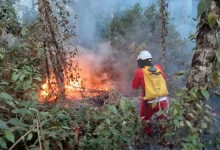 A operação conjunta SP Sem Fogo, entre Polícia Ambiental e Corpo de Bombeiros, fortalece o combate a incêndios em SP, garantindo uma resposta rápida e eficaz às ocorrências durante o período de estiagem.
