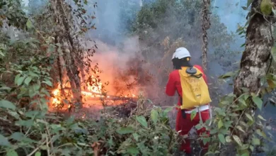 A operação conjunta SP Sem Fogo, entre Polícia Ambiental e Corpo de Bombeiros, fortalece o combate a incêndios em SP, garantindo uma resposta rápida e eficaz às ocorrências durante o período de estiagem.