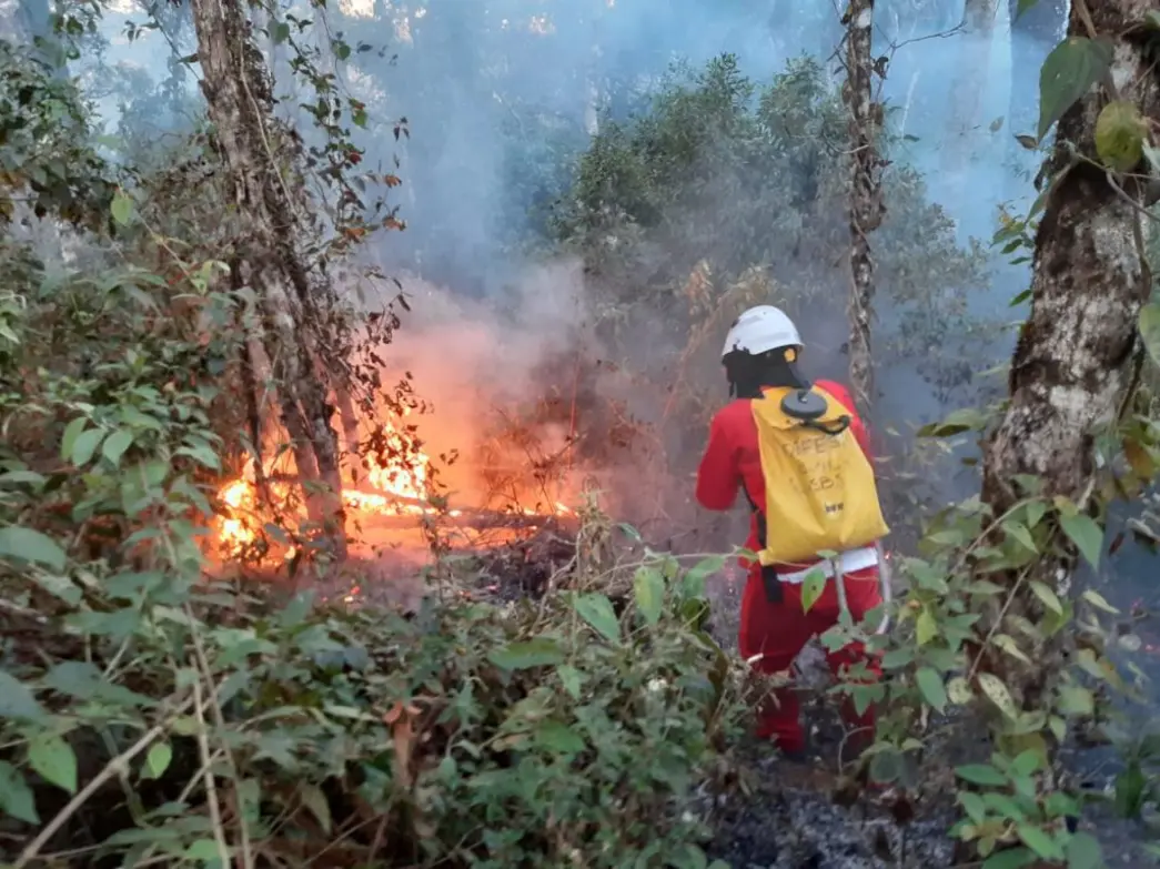 A operação conjunta SP Sem Fogo, entre Polícia Ambiental e Corpo de Bombeiros, fortalece o combate a incêndios em SP, garantindo uma resposta rápida e eficaz às ocorrências durante o período de estiagem.